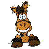 HotRocket
