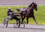 bettor2belucky