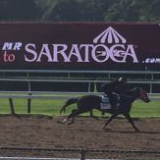 MrSaratoga