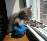 SMOKEYBOY