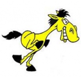 triple C stables