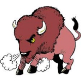 BIGBUFFALOTOOLSUPPLY