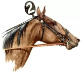 kingcapper67