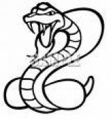 Snakebite