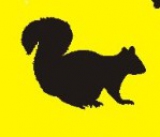 trader2