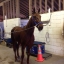 buckeyeincharge