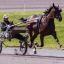bettor2belucky