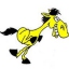triple C stables