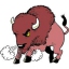 BIGBUFFALOTOOLSUPPLY