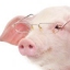 hogman